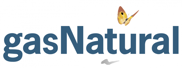 gasNatural